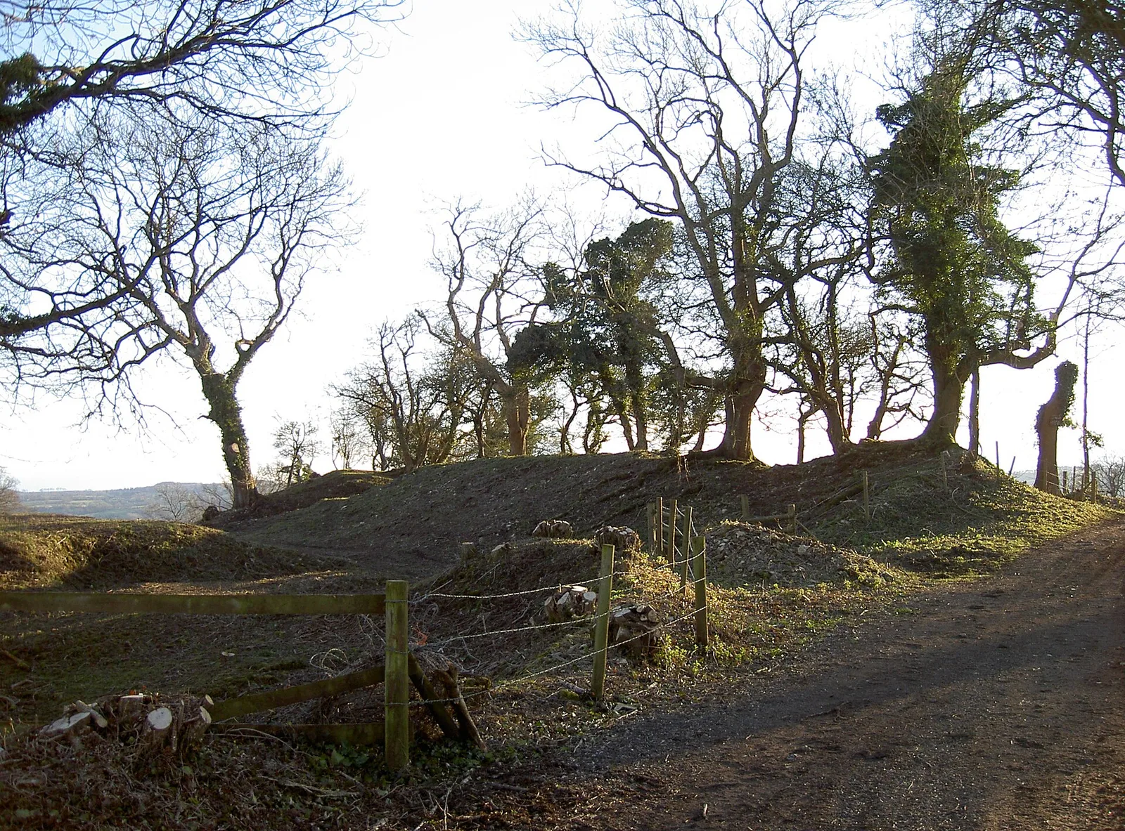 Burledge Hill